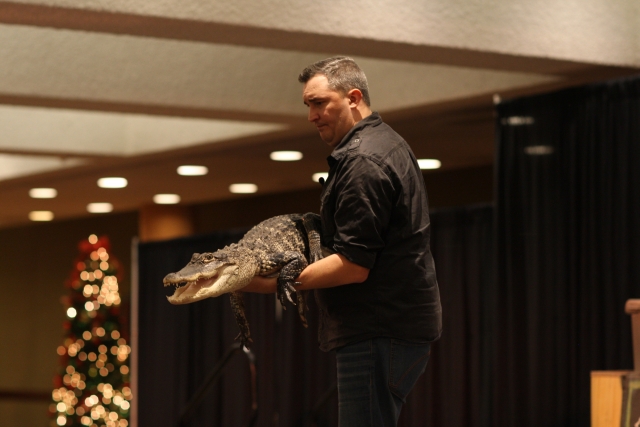 Nickel City Reptiles and Exotics 2 Nickel City Reptiles and Exotics 2